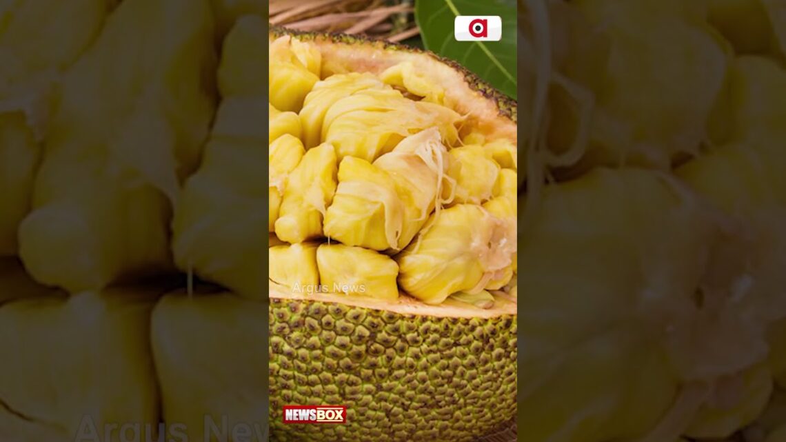 Know The Health Benefits Of Eating Jackfruit