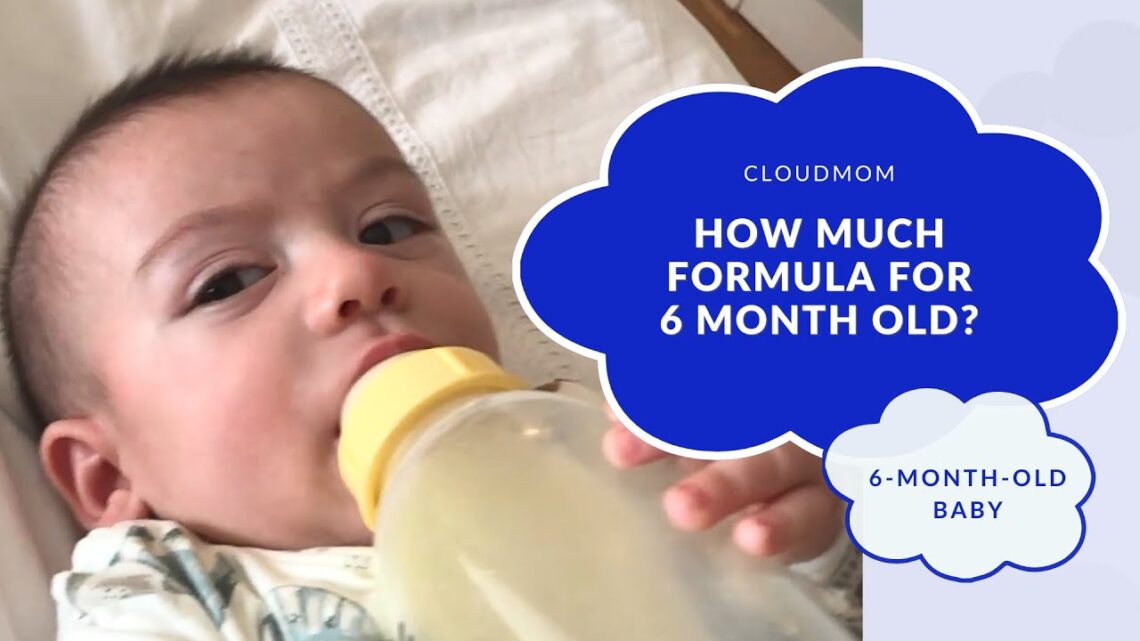 6-Month-Old Baby: How Much Formula for 6 Month Old?  | CloudMom