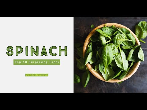 Top 10 Surprising Spinach Facts You Didn’t Know #spinach #didyouknow #funfacts #veggies #vegan #fact