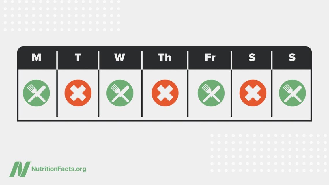 Alternate-Day Intermittent Fasting Put to the Test