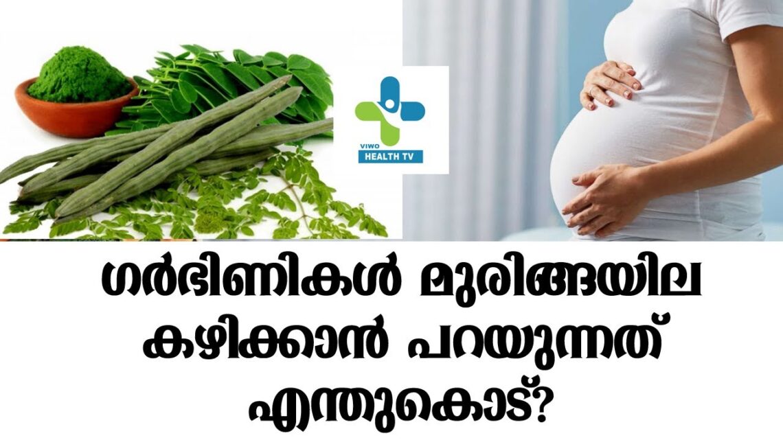 ഗർഭിണികൾ മുരിങ്ങയില കഴിക്കാൻ പറയുന്നത് എന്തുകൊണ്ട് | health tips malayalam