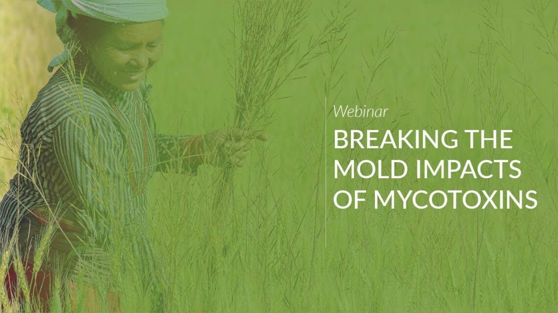 Webinar: Breaking the Mold Impacts of Mycotoxins