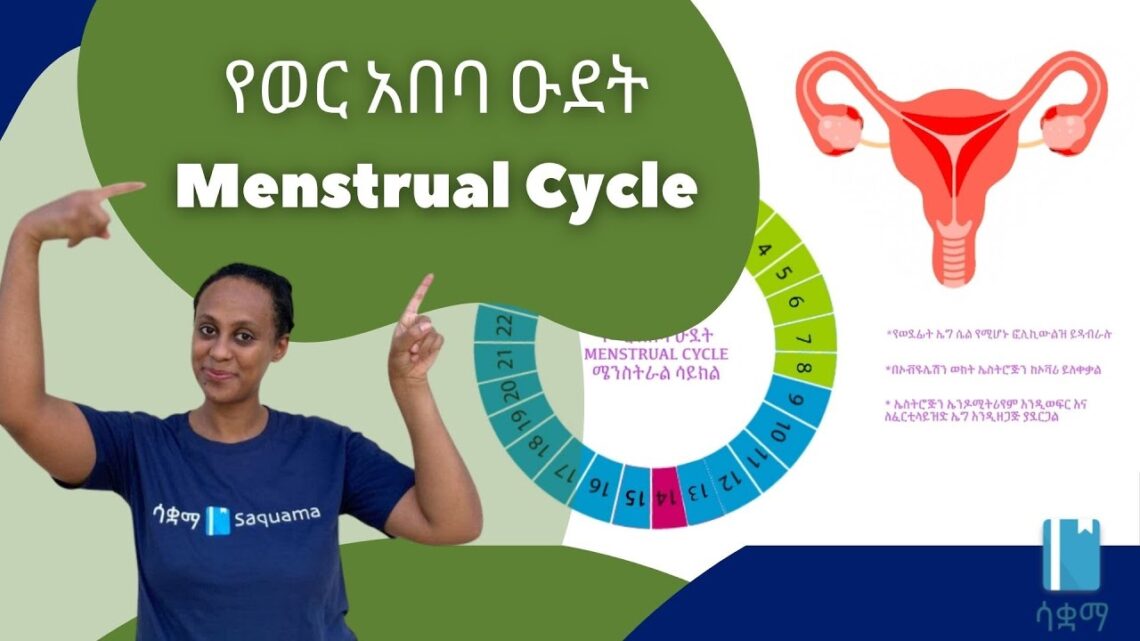 Menstrual Cycle | የወር አበባ ዑደት