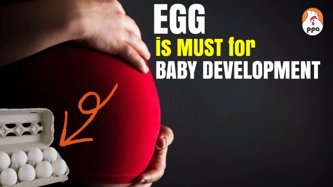 ■ EGG  ■ MUST FOR BABY DEVELOPMENT ■ 720p