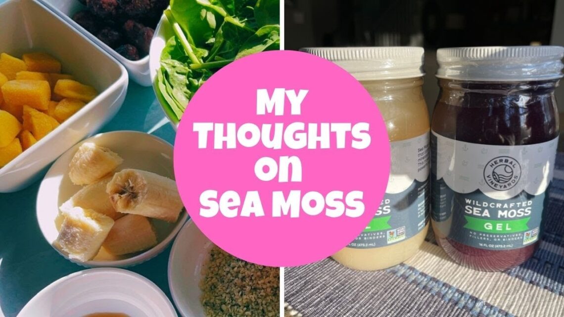 MY THOUGHTS ON SEA MOSS | Herbal Vineyards + Fibroid Shrinking Smoothie Recipe