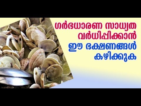 ഗര്‍ഭധാരണ സാധ്യത വർധിപ്പിക്കാന്‍ ഈ ഭക്ഷണങ്ങള്‍ | Pregnancy & Parenting Tips