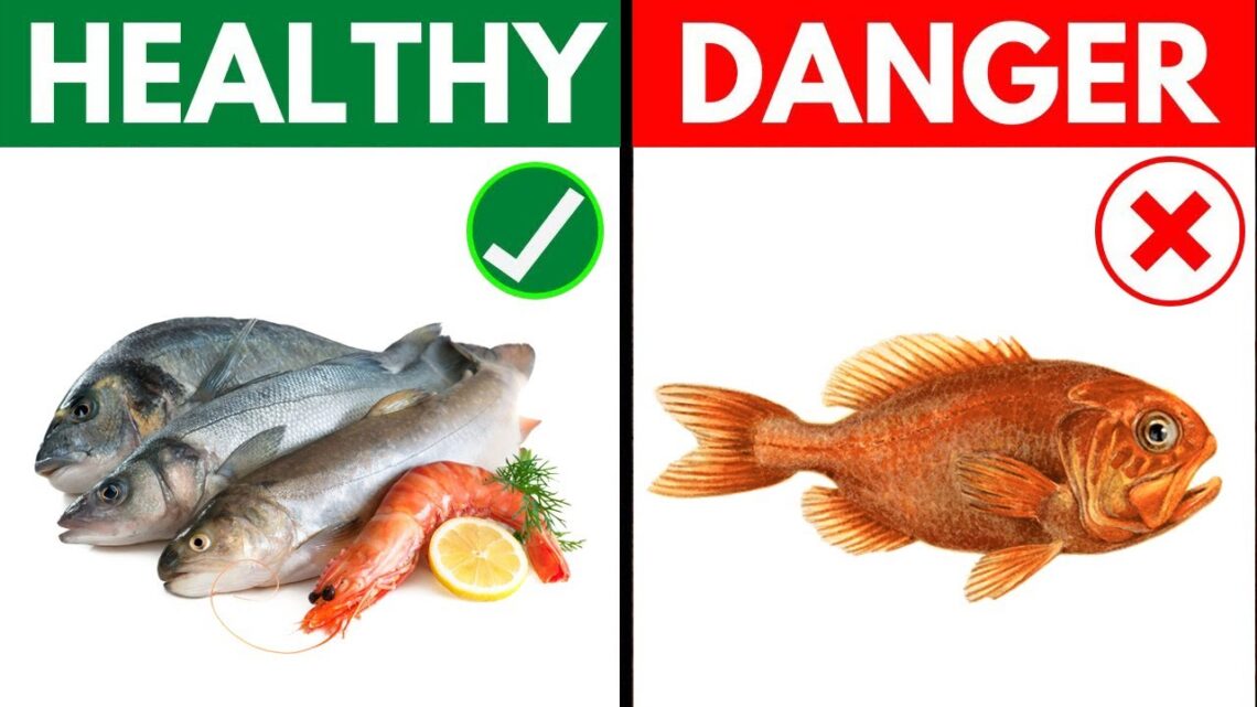 6 of The Healthiest Fish to Eat and 7 to Avoid 🦈