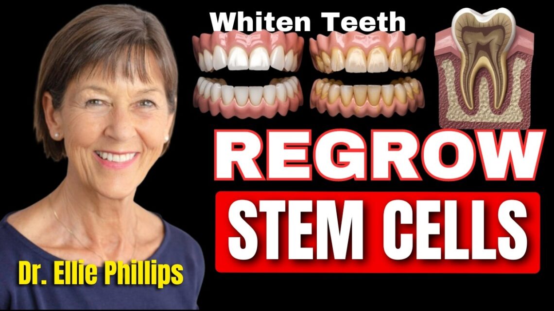 🚨 STEM CELL Breakthrough: Dr. Phillips Reveals How to REGROW Teeth & STOP Tartar Forever 🦷✨