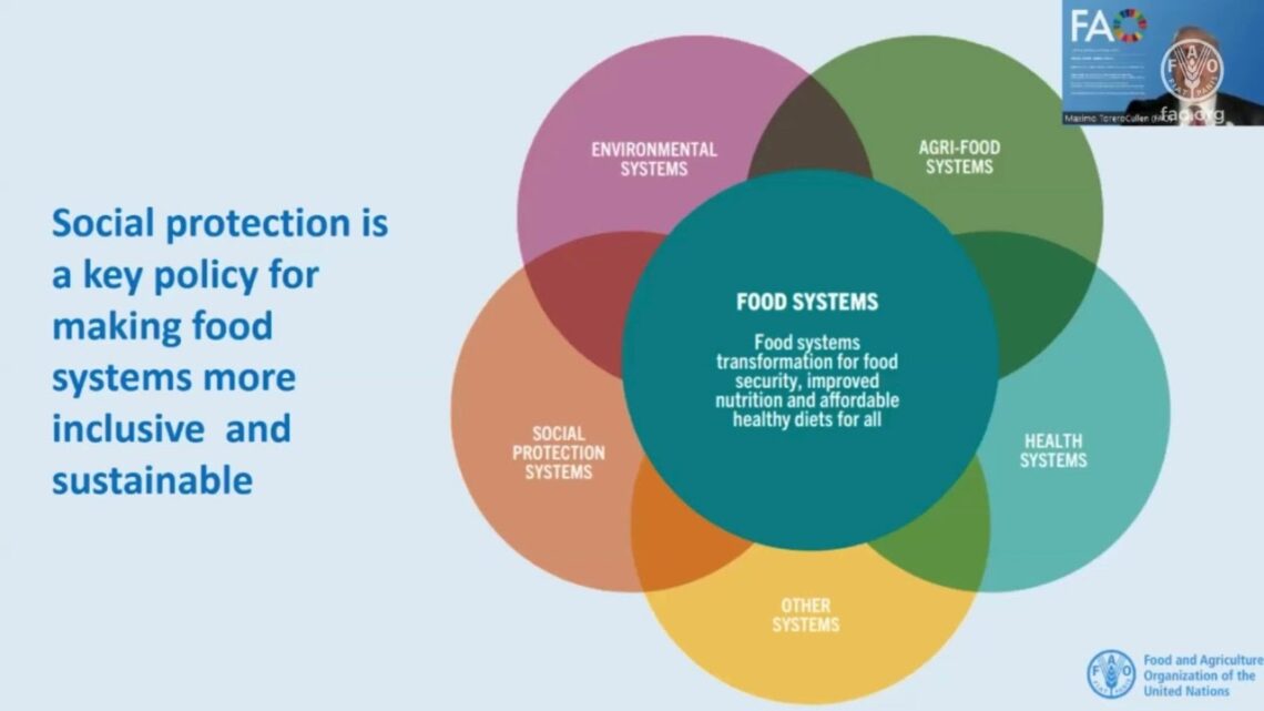 FAO Social Protection Dialogue Series Pathways for Extending Universal Coverage of Social Protection