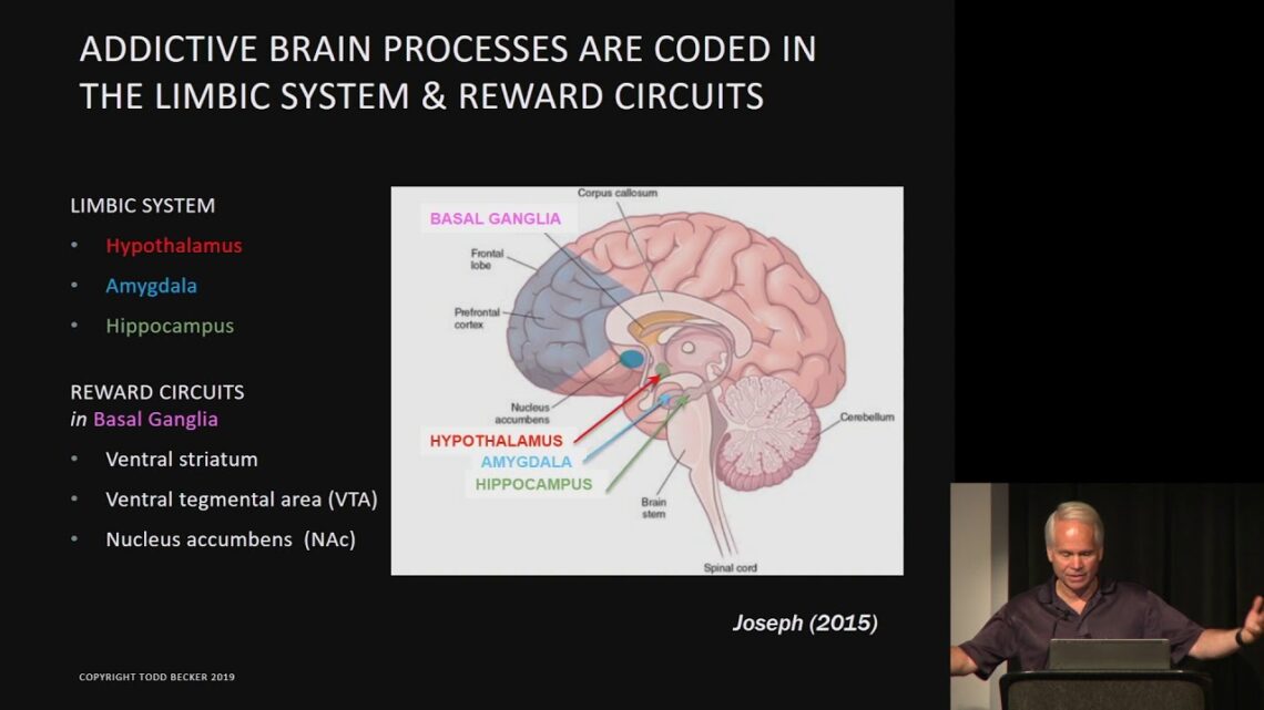 Todd Becker – Retraining the limbic brain to reverse obesity and addictions – AHS19