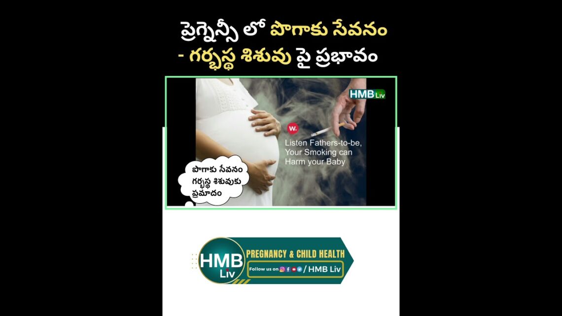 ప్రెగ్నెన్సీ లో smoking active / passive  – గర్భస్థ శిశువు పై ప్రభావం #hmbliv #pregnancycare