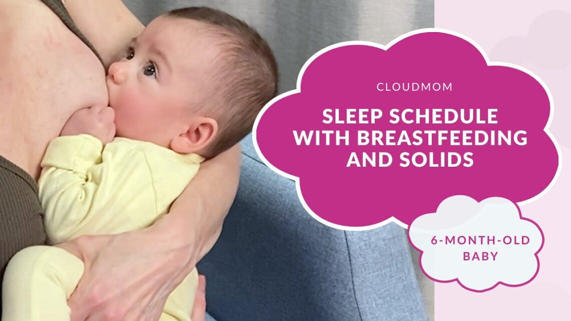 6-Month-Old Baby: 6 Month Old Sleep Schedule with Breastfeeding and Solids  | CloudMom