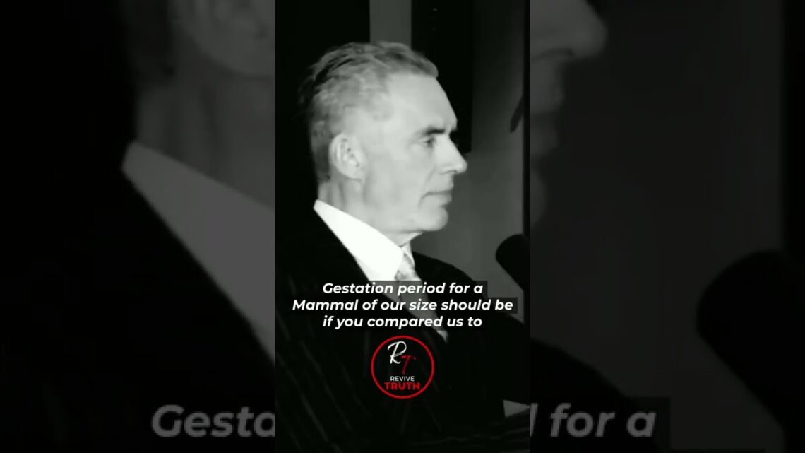 “Our INFANTS are BORN a year & three months PREMATURE!” – Jordan Peterson #shorts