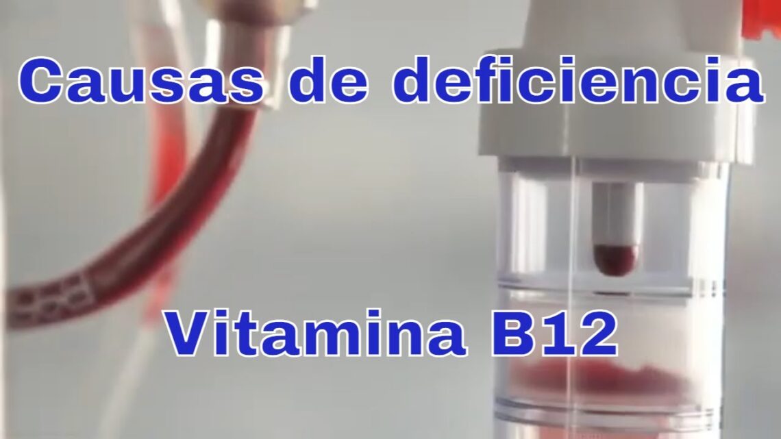 5 Causas de deficiencia de vitamina B12