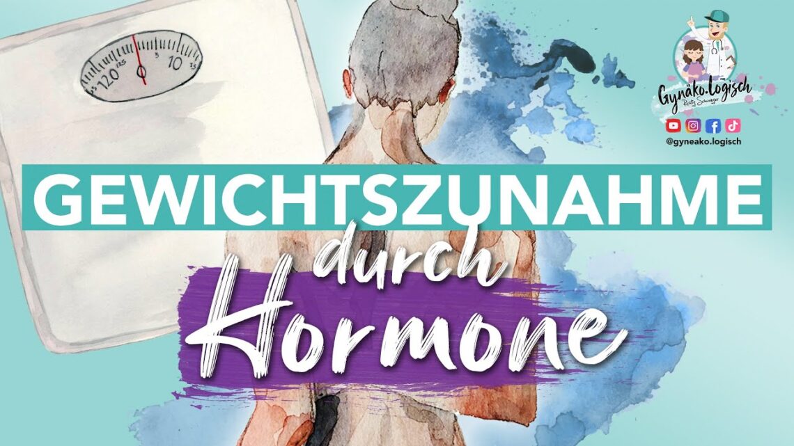 Körperfett durch weniger Hormone l Einfluss der Wechseljahre auf das Gewicht und den Stoffwechsel