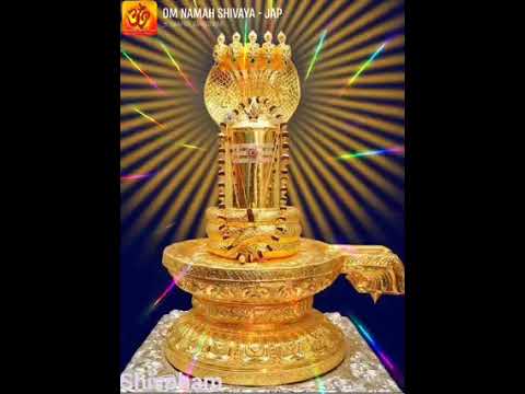 Golden Shivling