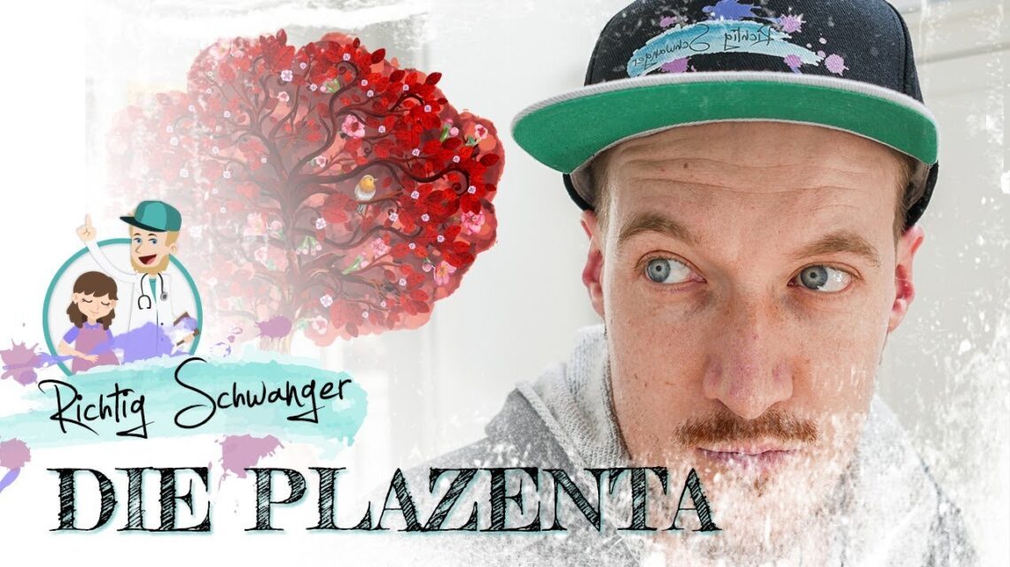 Plazenta bzw. Mutterkuchen. Wie ernährst du eigentlich dein Kind?