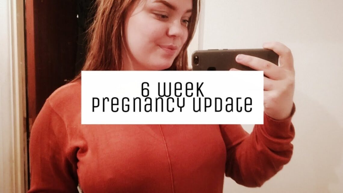 6 Week Pregnancy Update!! DiabeticMomster