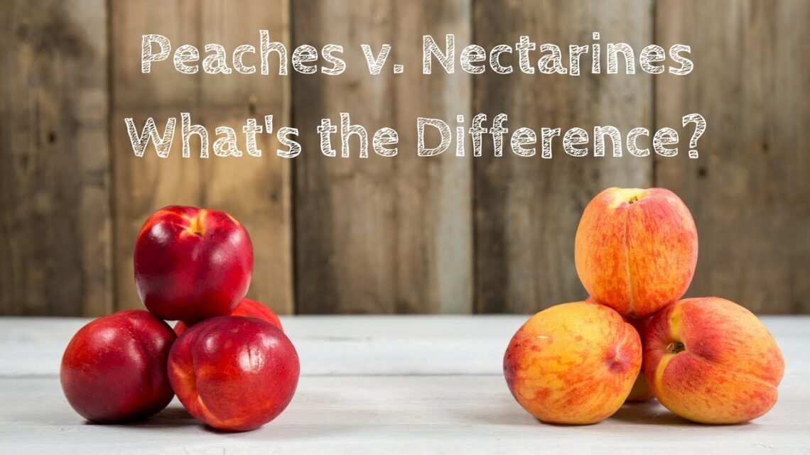 What is the Difference between Peaches and Nectarines | Produce Made Simple