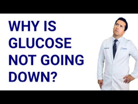 Why is Your Blood Sugar NOT Under Control Although You’re Trying.