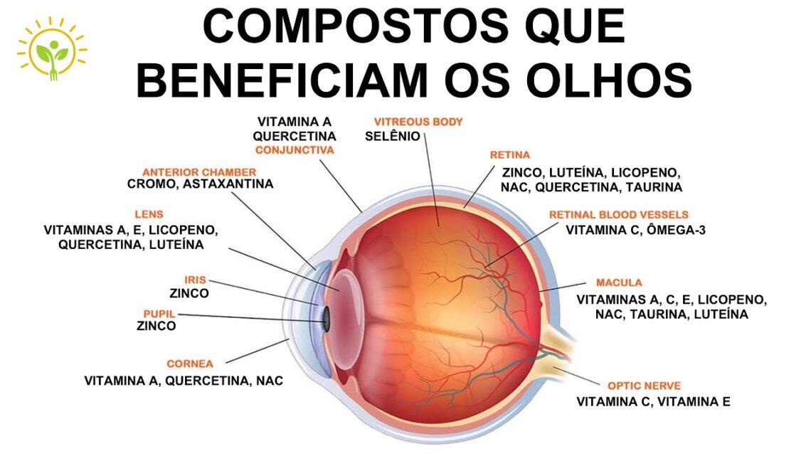 Suplementos para a degeneração macular