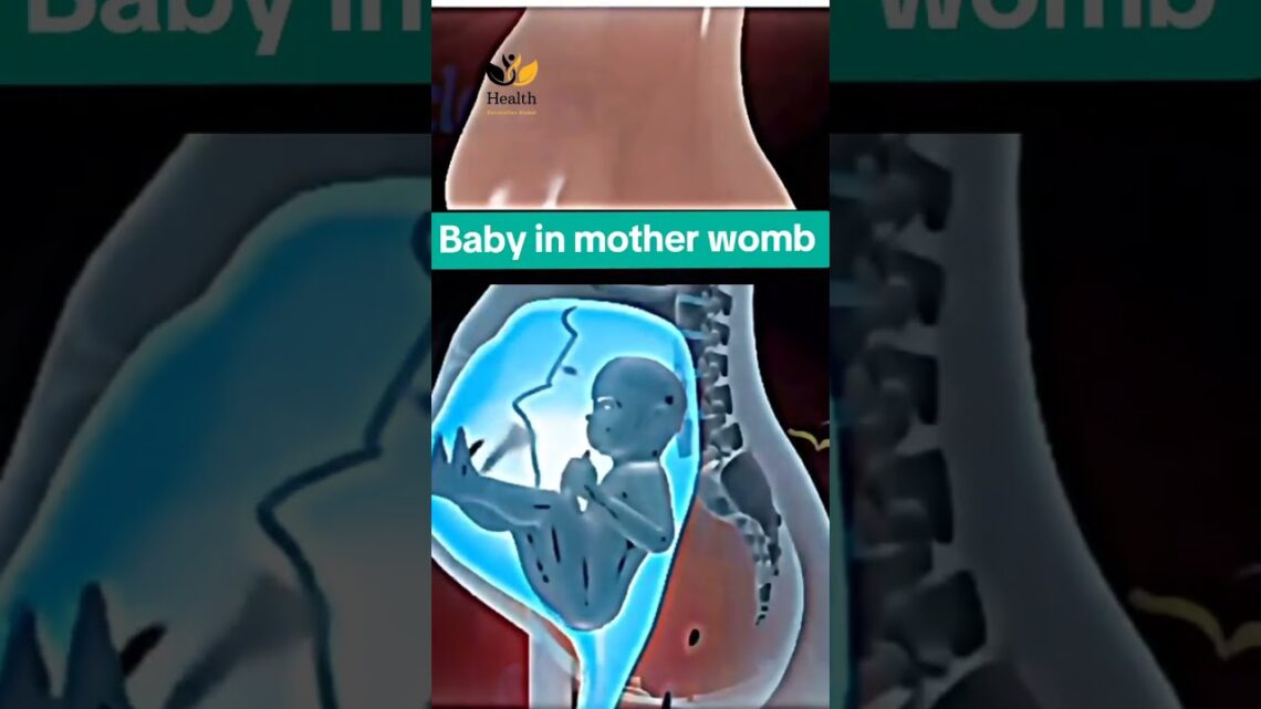 Baby in Mother’s Womb🤰#healthcare #medicalshorts #trending #healthshorts #babyinwomb  #fetalmovement