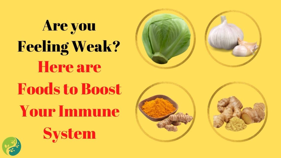 10 Foods That Will Boost Your Immune System