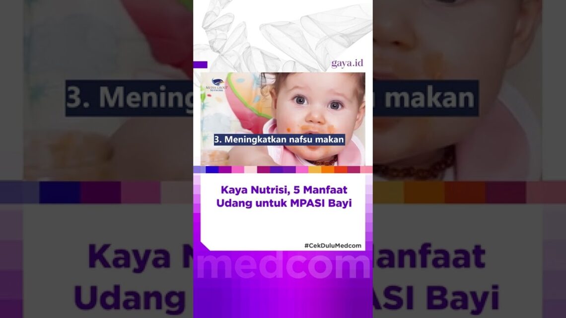 Kaya Nutrisi, 5 Manfaat Udang untuk MPASI Bayi