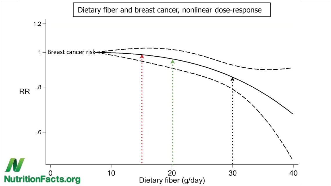 Fiber vs. Breast Cancer