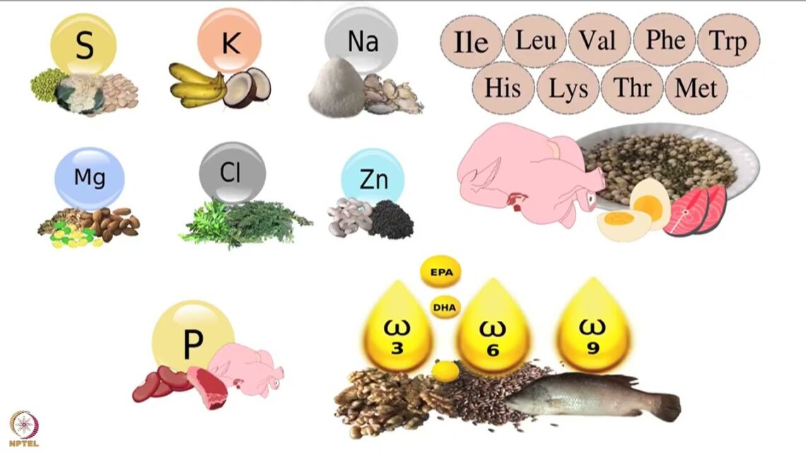 Week 3 : Lecture 16 : Importance of Magnesium and Magnesium rich recipes