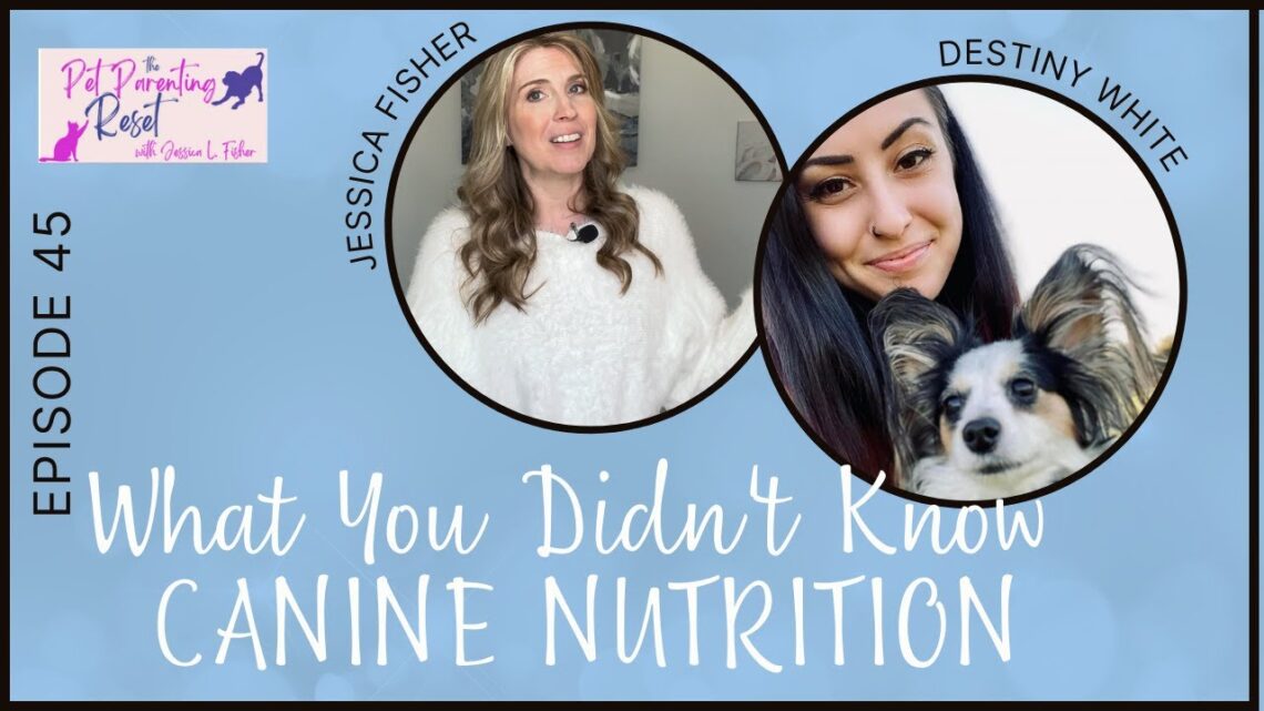 What You Didn’t Know About Dog Nutrition with Destiny White