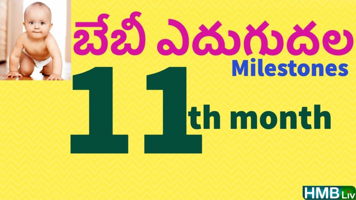 11 వ నెల బేబీ ఎదుగుదల |11th month baby growth & milestones | HMBliv Pregnancy & child care channel