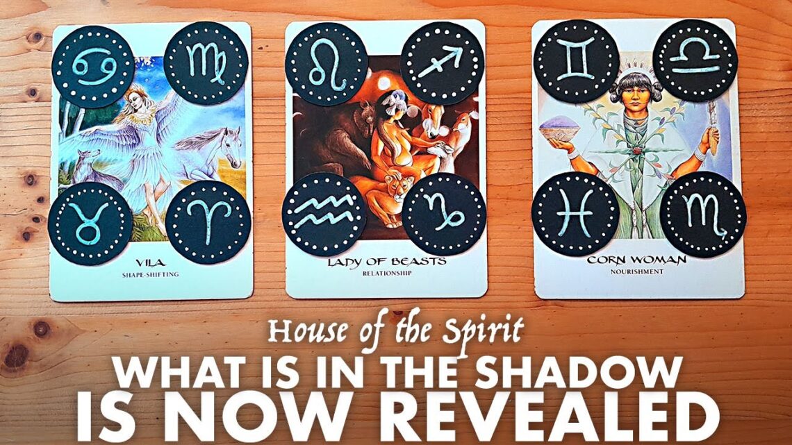 What is Hidden in the Shadow? TAROT Pick-a-Card #tarot #tarotreading #pickacard