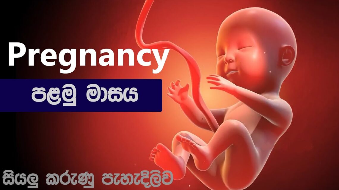 ❤ පළමු සති 4 | 1st month of pregnancy ( 1 – 4 week ) in sinhala | palamu masaya