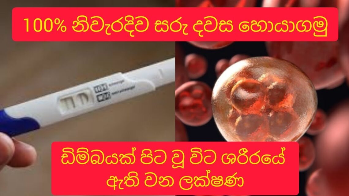 ඩිම්බයක් පිට වූ  විට ශරීරයෙහි  ඇති වන ලක්ෂණ| 100% සාර්ථක ගැබ් ගැනීමක් සඳහා එකතු විය යුතු ම දවස
