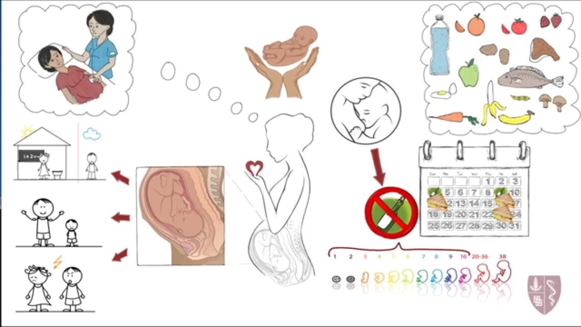 Alcohol avoidance during pregnancy & breastfeeding NEW (Xhosa)