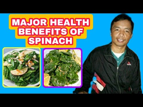 15 Major Health Benefits of Spinach