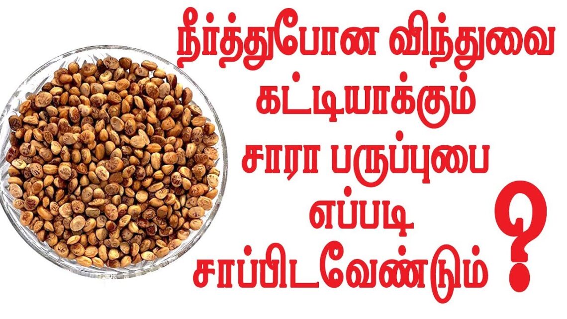 சாரா பருப்பு  எப்படி சாப்பிட வேண்டும்? How to Eat  Sara Paruppu    – YouTube/7358682854