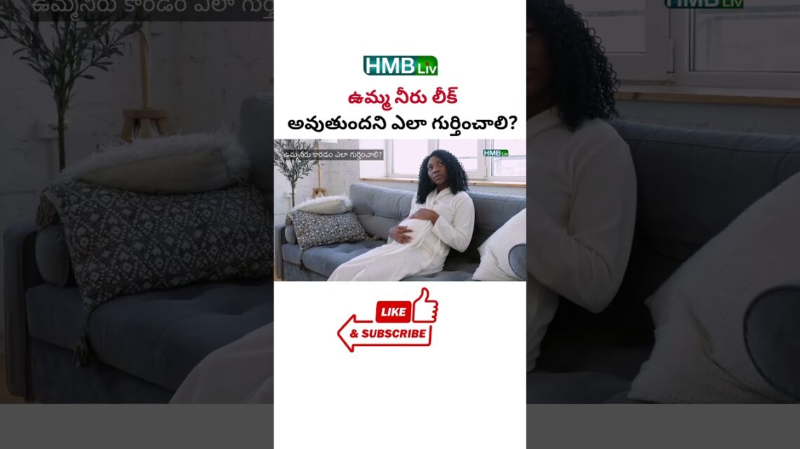 ఉమ్మ నీరు లీక్ అవుతుందని ఎలా గుర్తించాలి? | HMBliv Health & Wellness